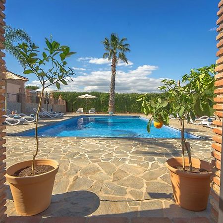 Villa Conmigo Bed & Breakfast Alhaurín de la Torre Eksteriør bilde